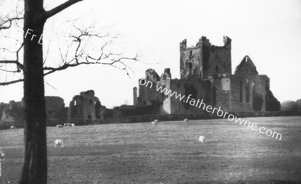 DUNBRODY ABBEY FROM S.E.